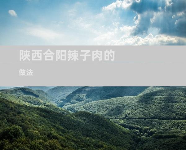 陕西合阳辣子肉的做法