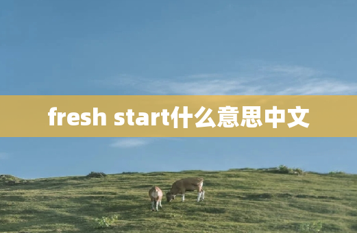 fresh start什么意思中文